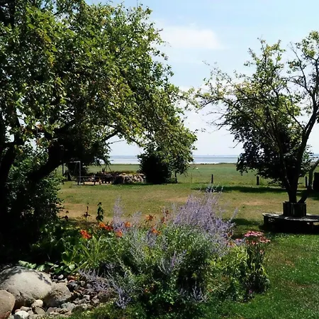 Reethaus Mertinat For Six Mit Meerblick Insel Poel